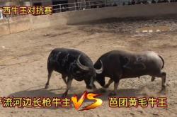 开云体育在线-惊心动魄：比赛中的激烈对抗让人心跳加速