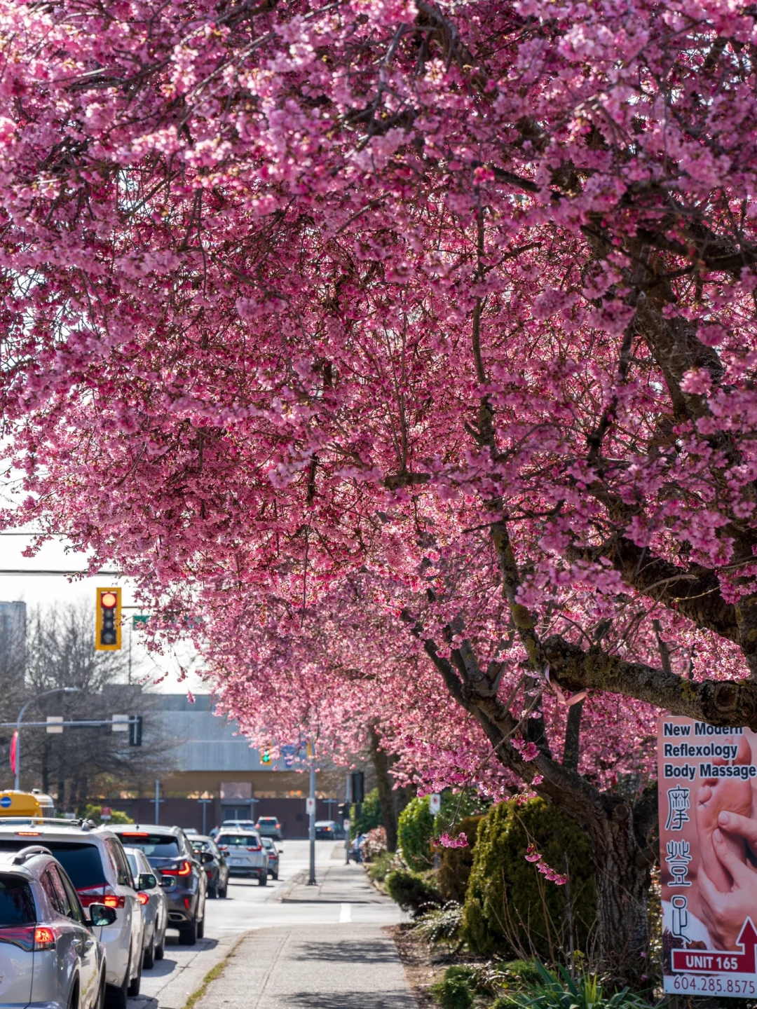 关于温哥华队绽放风采攀升欧洲杯众望所归的信息 关于温哥华队绽放风采攀升欧洲杯众望所归的信息
