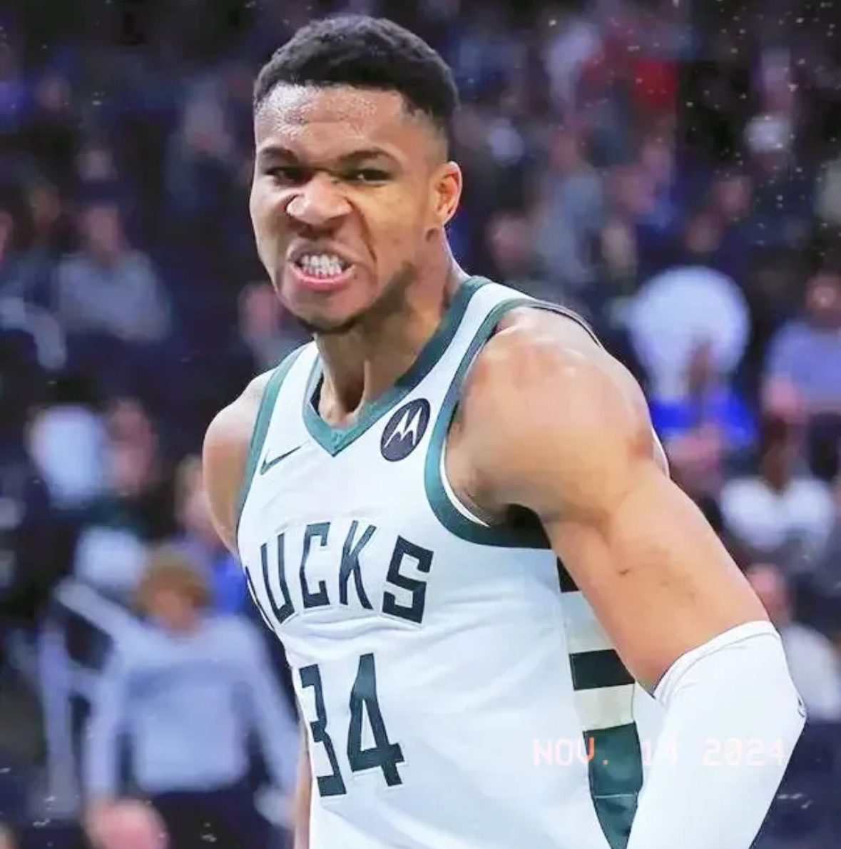 关于雄鹿横扫奇才,字母哥盖帽迷翻的信息 关于雄鹿横扫奇才,字母哥盖帽迷翻的信息